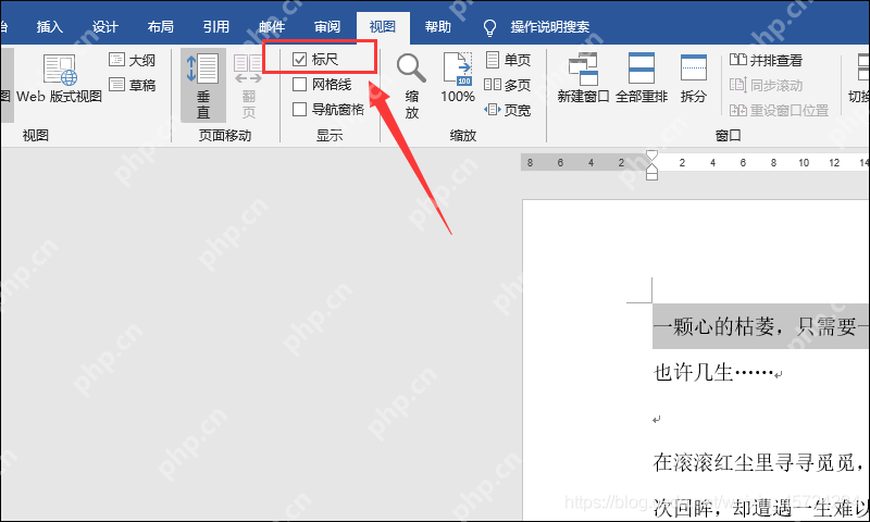 Word 视图选项卡中勾选标尺