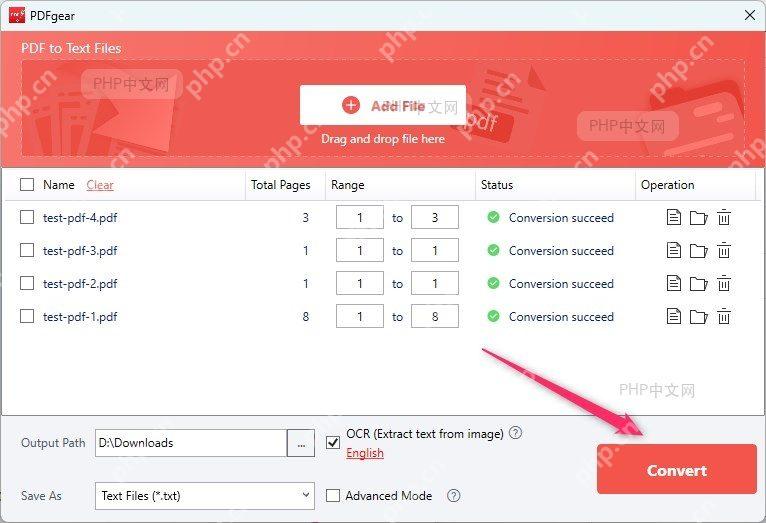 PDFgear 转换列表中显示 Conversion succeed 状态并高亮 Convert 按钮,用于完成 PDF 转 TXT