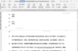 WPS如何设置调整文档行编号选项?结果检查