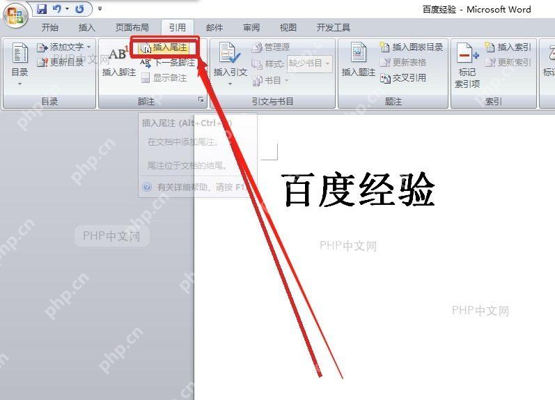 Word 点击插入尾注按钮