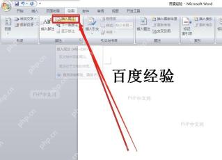 Word 点击插入尾注按钮