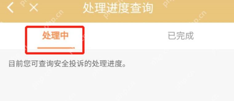 滴滴出行安全反馈处理进度页面