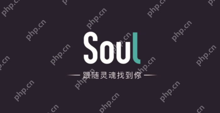 视频聊天APP排行榜 聊天视频软件前十名免费推荐 - php中文网
