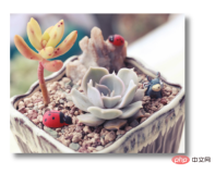 1618310173792624.png How to achieve shadow effect in css