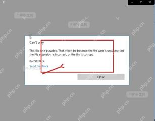 PowerPoint 幻灯片中视频无法播放的错误提示，用于确认媒体或编解码器问题