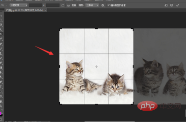 How to capture part of an image in PS?