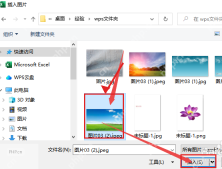 Excel 插入图片窗口中选中图片文件并准备点击插入按钮