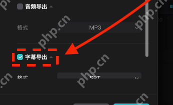 字幕导出已勾选且格式为 SRT