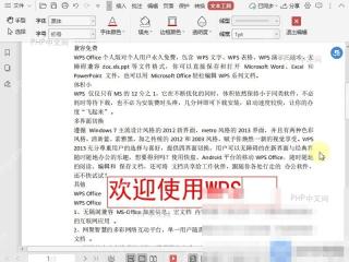 PDF如何文档中插入文本框注释内容?设置效果