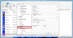 Total Uninstall Windows Options 设置树中选中 Common 分类。