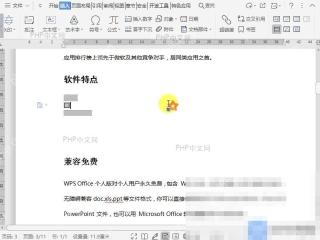 Word如何给文档中的窗体域添加底纹？设置效果