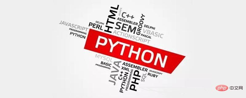 Why is Python so popular?
