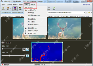 Beyond Compare 5怎么设置比较结果颜色