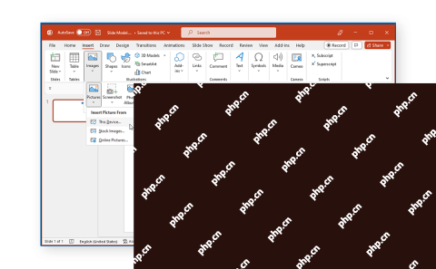 PowerPoint 选中图片进入图片格式