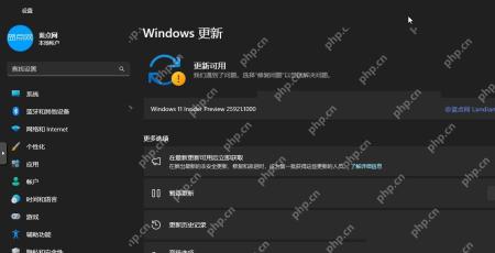 Win11 预览体验计划页面中开始加入并绑定账户