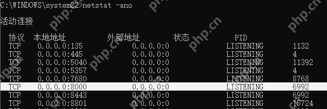 Windows 命令提示符执行 netstat 查看本机端口和 PID
