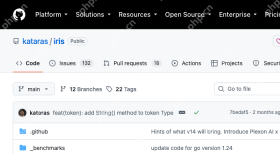 kataras Iris GitHub 仓库页面展示 v14 相关提交与 README 区域
