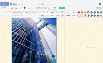 WPS 思维导图中图片已经插入到主题附近并处于选中状态