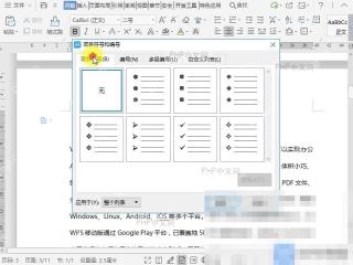 Word如何自定义文档项目符号？