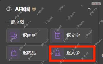 WPS AI 抠图面板中抠人像按钮被标出