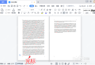 WPS文字多页显示时页面并排出现的视图状态