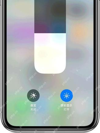 iPhone 控制中心亮度面板中原彩显示按钮处于打开状态