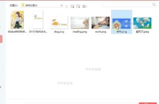 如何替换插入PDF文件中的图片?设置效果
