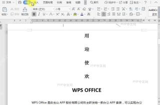 WPS如何显示/隐藏段落标记？中间操作