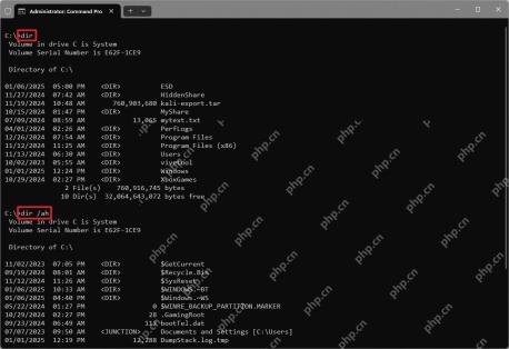 Windows 11 命令提示符用 dir 查看目录中的 tar 归档文件