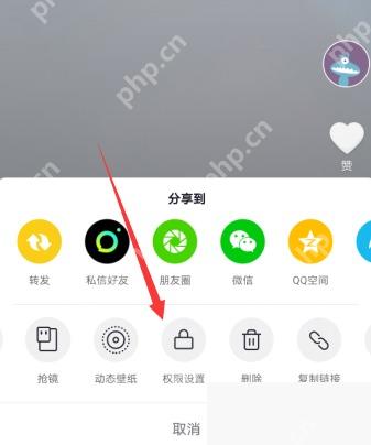 抖音底部操作面板里的权限设置按钮