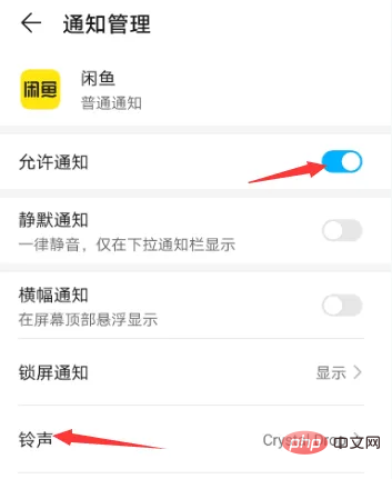 What should I do if there is no sound reminder for Xianyu messages?