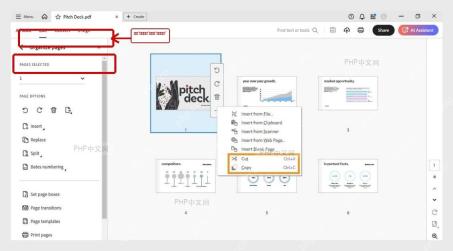 Adobe Acrobat 所有工具中的组织页面入口，用于开始调整 PDF 页面顺序