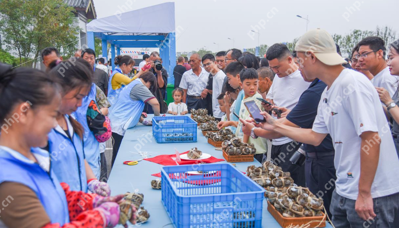 湖北一地“蟹王”“蟹后”拍出1.9万是怎么回事？详情介绍 - php中文网