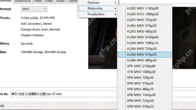 HandBrake 底部 Save As 区域用于保存 MKV 文件名