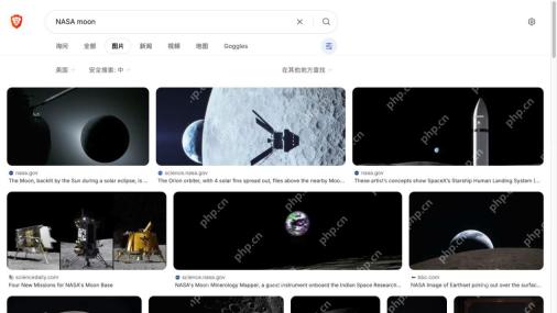 Brave Search 的图片分类、原生图片说明及来源网站