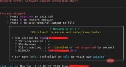 2.webp.jpg