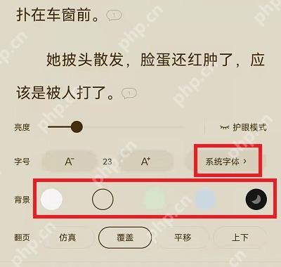 番茄小说阅读设置图,亮度、字号、背景色和更多背景入口完整可见