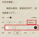 番茄小说阅读设置图，亮度、字号、背景色和更多背景入口完整可见