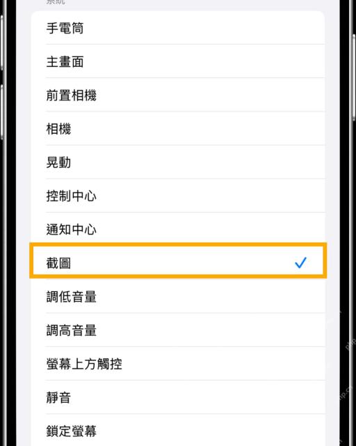 iPhone 轻点两下动作列表中截屏选项已打勾
