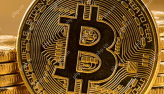 加密数字货币是骗局吗 - php中文网