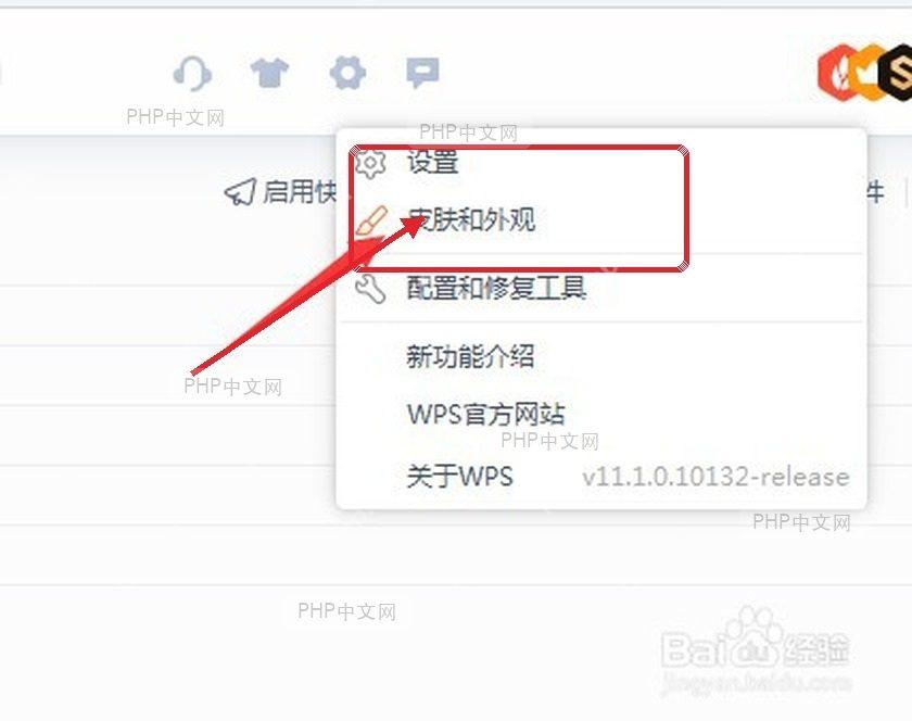 WPS 设置菜单里的皮肤和外观入口