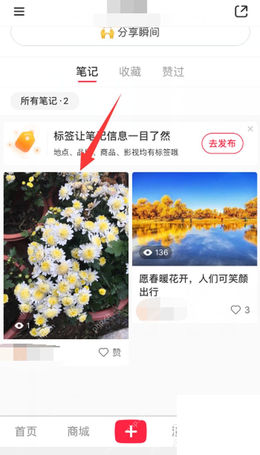 小红书怎么删除笔记_在个人主页找到并打开目标笔记