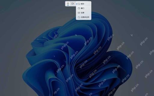 win11怎么进行屏幕截图_win11系统屏幕截图操作步骤 - php中文网