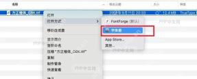 WPS Mac设备如何安装字体