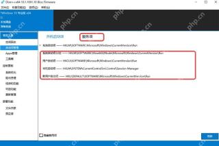 Dism++ 启动项管理中的服务项标签