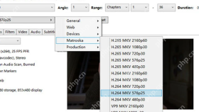 HandBrake Presets 菜单中 Matroska 分类和 MKV 预设