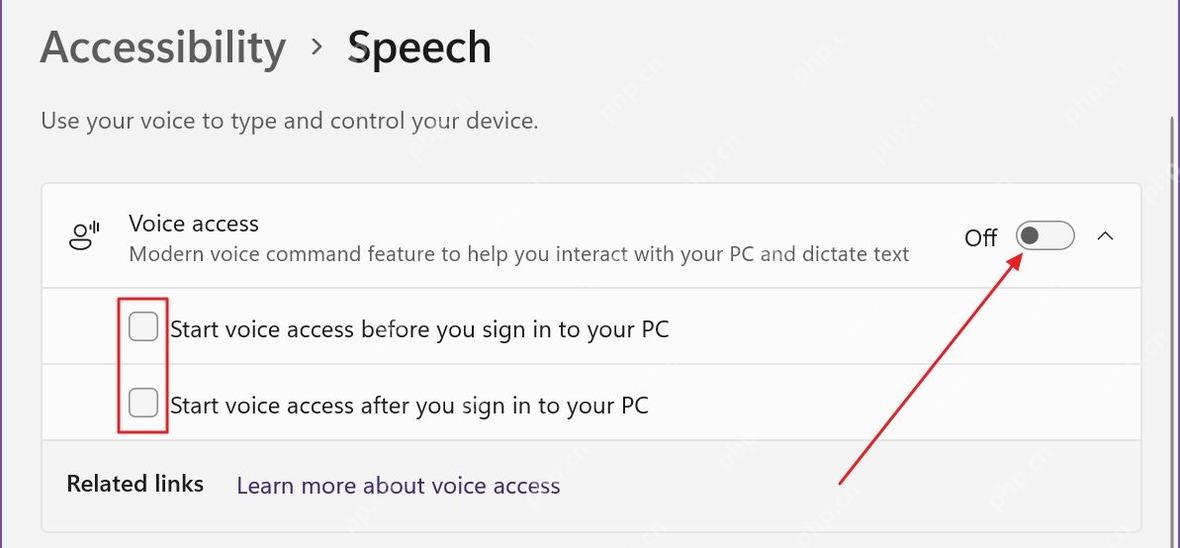 Win11 Accessibility Speech 页面显示 Voice access 自动启动复选框