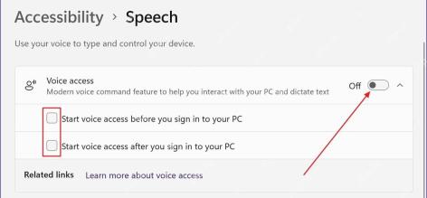 Win11 Accessibility Speech 页面显示 Voice access 自动启动复选框