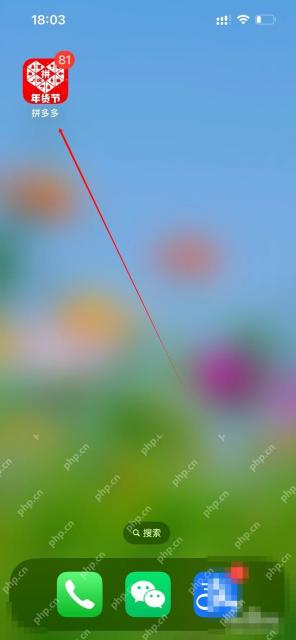 拼多多个人中心里的我的订单和查看全部