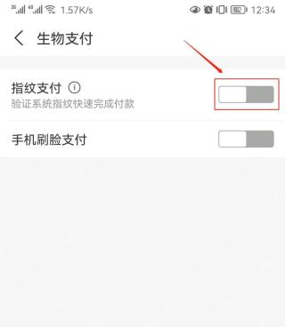 支付宝生物支付页里的指纹支付开关,开启指纹支付的关键一步